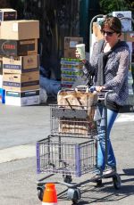 SELMA BLAIR Shopping at Bristol Farms in Los Angeles