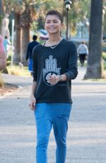 ZENDAYA COLEMAN Out and About in Los Angeles 0904