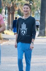 ZENDAYA COLEMAN Out and About in Los Angeles 0904