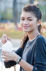 ZENDAYA COLEMAN Out and About in Los Angeles 0904
