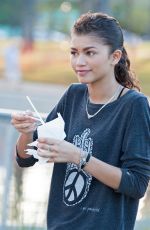ZENDAYA COLEMAN Out and About in Los Angeles 0904