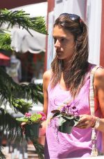 ALESSANDRA AMBROSIO in Tight Shorts Out  and About in Los Angeles