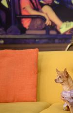BELLA THORNE at Univision Headquarters in Miami