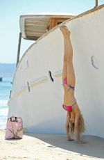 BRANDI GLANVILLE in Bikini at a Beach in Los Angeles