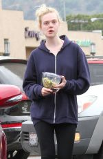 ELLE FANNING Out for Lunch in Studio City