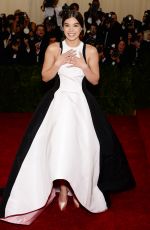 HAILEE STEINFELD at MET Gala 2014 in New York