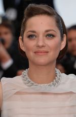 MARION COTTIILLARD at Two Days, one Night Premiere at Cannes Film Festival