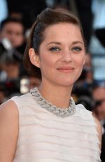 MARION COTTIILLARD at Two Days, one Night Premiere at Cannes Film Festival