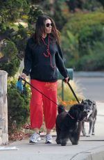 MILA KUNIS Walks Her Dogs Out in Los Angeles