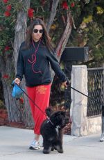 MILA KUNIS Walks Her Dogs Out in Los Angeles