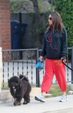 MILA KUNIS Walks Her Dogs Out in Los Angeles