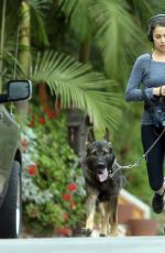 NIKKI REED Out for Jogging with Her Dogs in Los Angeles
