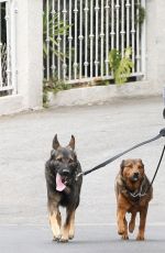 NIKKI REED Out for Jogging with Her Dogs in Los Angeles