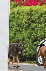 NIKKI REED Out for Jogging with Her Dogs in Los Angeles