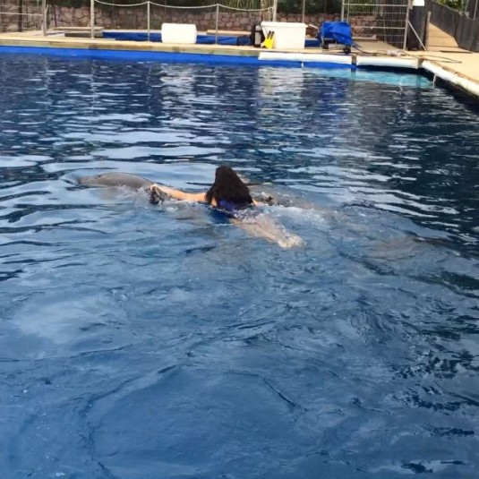 Kim Kardashian swim with dolphins before planting huge smacker on one of their noses