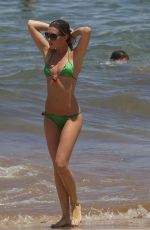 ABIGAIL ABBEY CLANCY in Bikini Paddleboarding in Hawaii