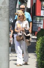 ANNA FARIS Out for Grocery Shopping in Los Angeles