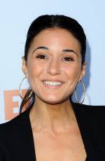 EMMANUELLE CHRIQUI at Pathway to the Cure Fundraiser Benefit in Santa Monica
