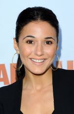 EMMANUELLE CHRIQUI at Pathway to the Cure Fundraiser Benefit in Santa Monica