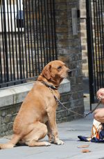 KIMBERLEY GARNER in Shorts Walks Her Dog Out in London