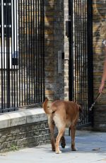 KIMBERLEY GARNER in Shorts Walks Her Dog Out in London
