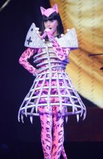 LATY PERRY Performs at The Prismatic World Tour in Raleigh in New York
