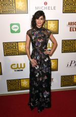 LIZZY CAPLAN at 2014 Critics Choice Television Awards in Beverly Hills