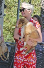 MILEY CYRUS Out and About in Studio City 2806