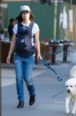 OLIVIA WILDE Walks Her Dog Out in New York
