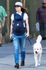 OLIVIA WILDE Walks Her Dog Out in New York
