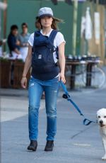 OLIVIA WILDE Walks Her Dog Out in New York