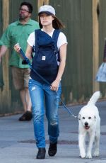 OLIVIA WILDE Walks Her Dog Out in New York