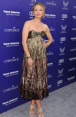 REBECCA GAYHEART at Chrysalis Butterfly Ball in Los Angeles 