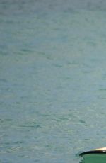 VANESSA HUDGENS in Bikini on the Beach in Hawaii