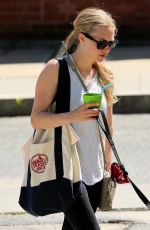 AMANDA SEYFRIED Walks Her Dog in Williamstown