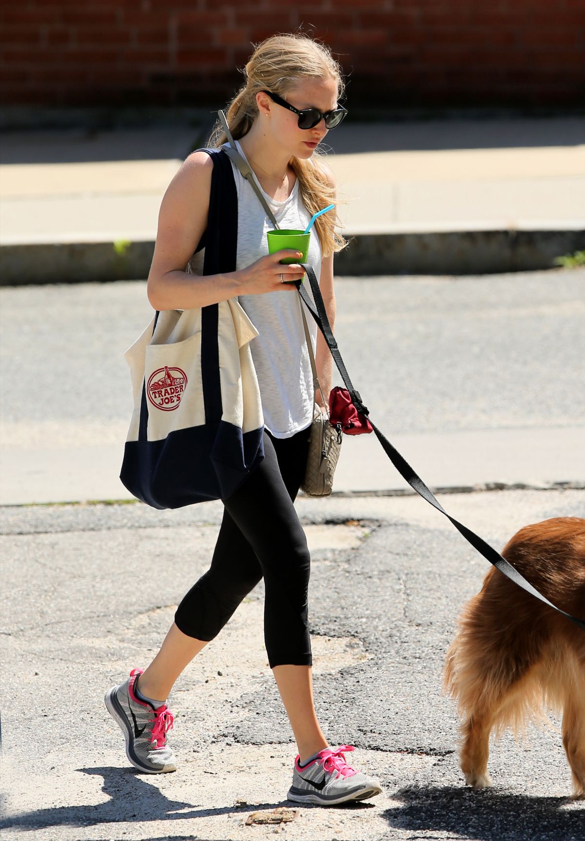 AMANDA SEYFRIED Walks Her Dog in Williamstown – HawtCelebs