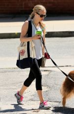 AMANDA SEYFRIED Walks Her Dog in Williamstown