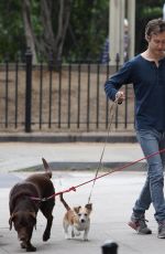ANNE HATHAWAY and Adam Shulman Walks Her Dogs Out in New York