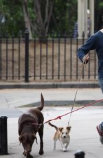 ANNE HATHAWAY and Adam Shulman Walks Her Dogs Out in New York