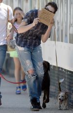 ANNE HATHAWAY Walks Her Dogs in Brooklyn