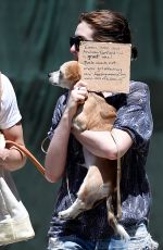 ANNE HATHAWAY Walks Her Dogs in Brooklyn