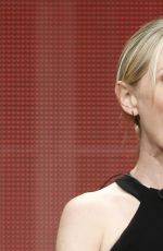 ANNE HECHE at NBCUniversal 2014 TCA Summer Tour Panel