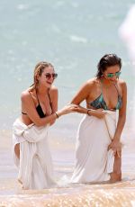 ASHLEY BENSON and SHAY MITCHELL in Bikinis at a Beach in Maui
