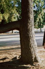 DANI THORNE - Aris Jerome Photoshoot