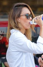 JESSICA ALBA Out Shopping in Santa Monica