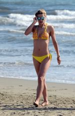 MICHELLE HUNZIKER in Bikini at a Beach in Forte Dei Marmi