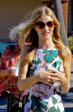 ROSIE HUNTINGTON-WHITELEZ Out and About in Malibu