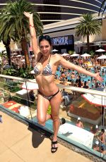 ADRIANNE CURRY in Bikini at Encore Beach Club in Las Vegas