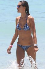 AELSSANDRA AMBROSIO in Bikini on Vacation in Hawaii