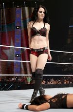 AJ LEE vs PAIGE - Divas Championship Match at WWE Summerslam in Los Angeles